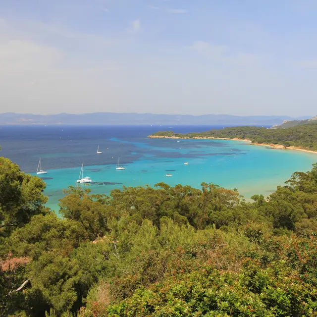 Plage de la Courtade - île de porquerolles - Hyères