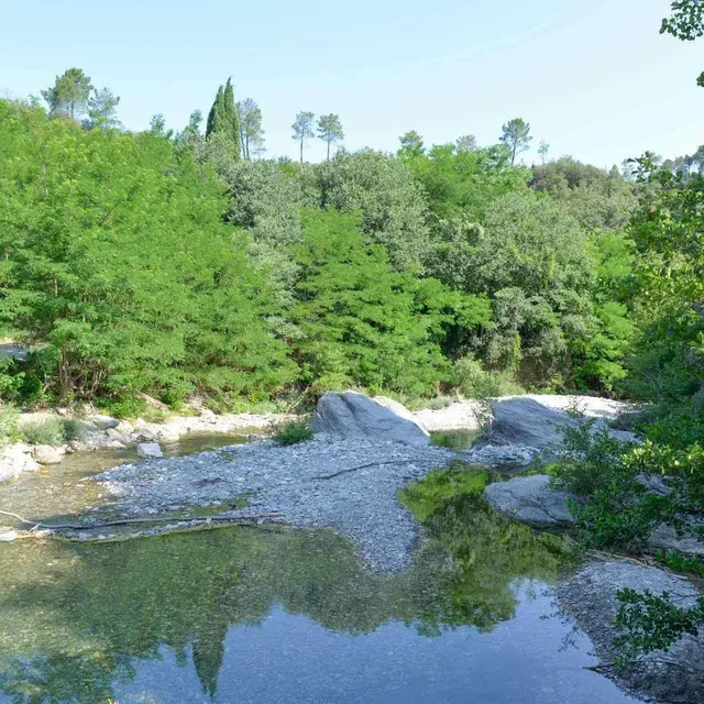 La rivière dans tous les sens