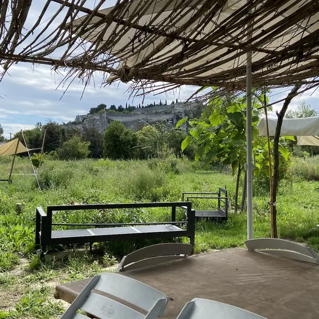 Balade Plantes sauvages et permaculture_Villeneuve-lez-Avignon