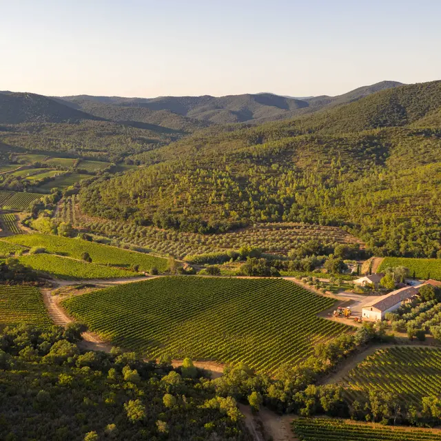 Domaine de Tamary
