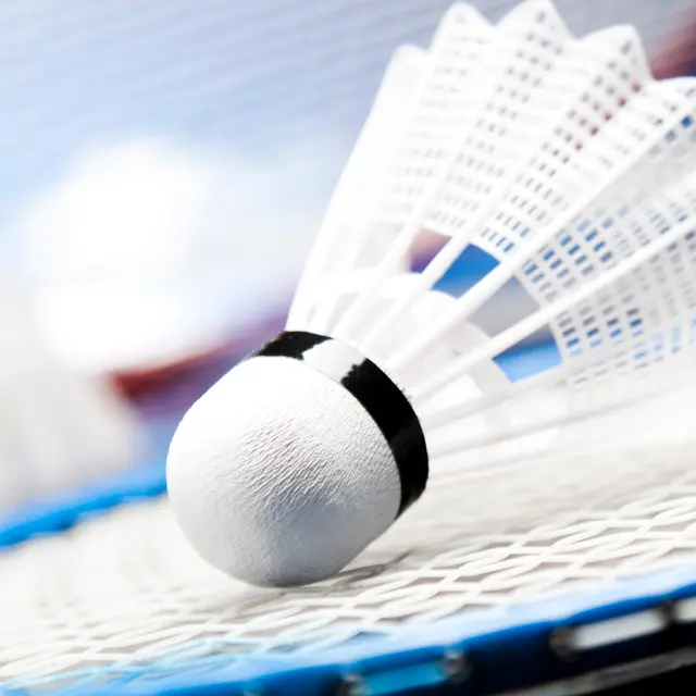 Badminton • Interclub Régionale 3_Cusset