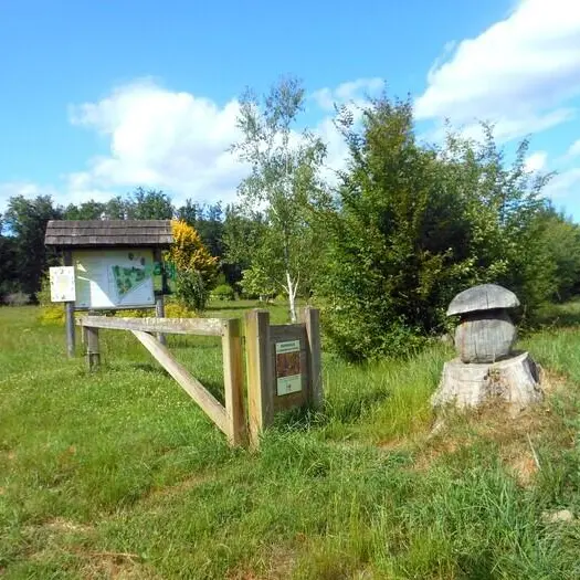 Journées européennes du Patrimone - Visite guidée de l'arborétum_Bresse Vallons