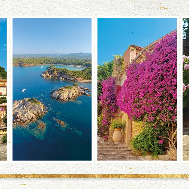 Cérémonie des vœux du Maire 2026_Bormes-les-Mimosas