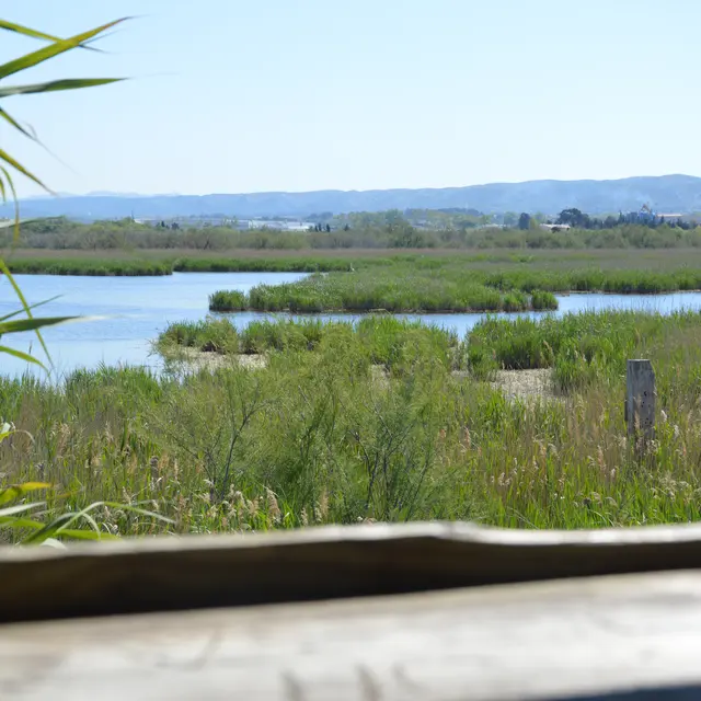 Sentier Patafloux-Barlatier