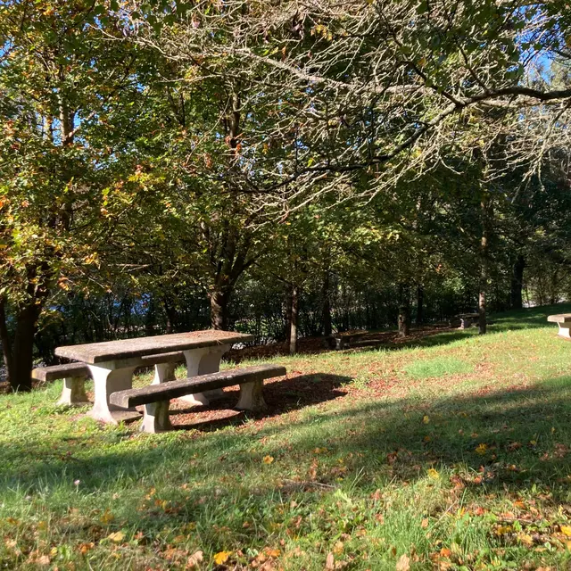 Aire de pique-nique de la digue_Pinay