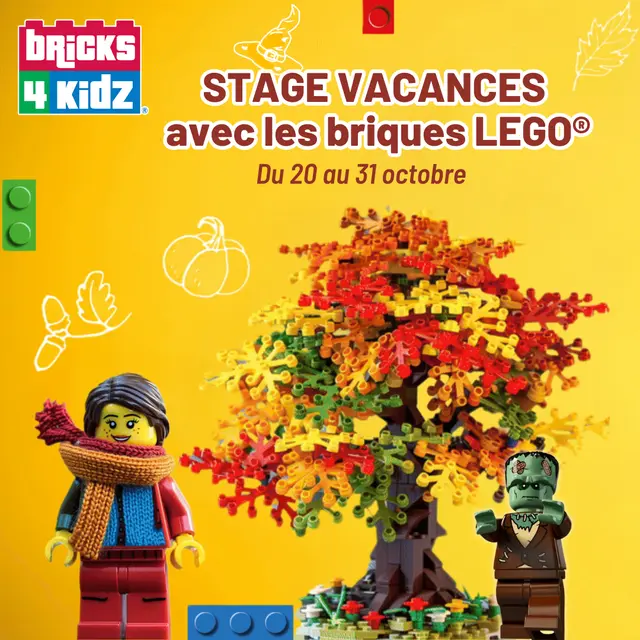 visuel STAGE VACANCES