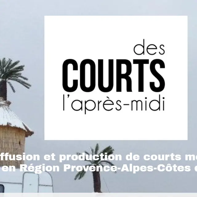 Des Courts l'après-midi