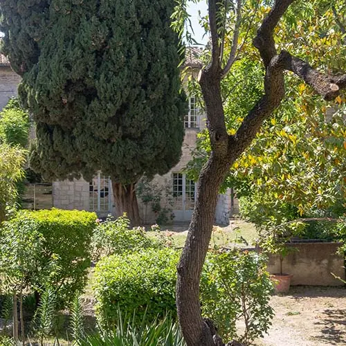 Dimanche aux jardins : les jardins d'hier à aujourd'hui_Villeneuve-lez-Avignon
