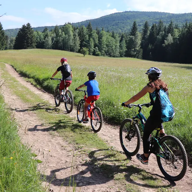 Rando VTT