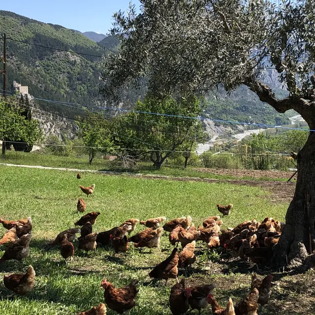 La Bastide de Bayons