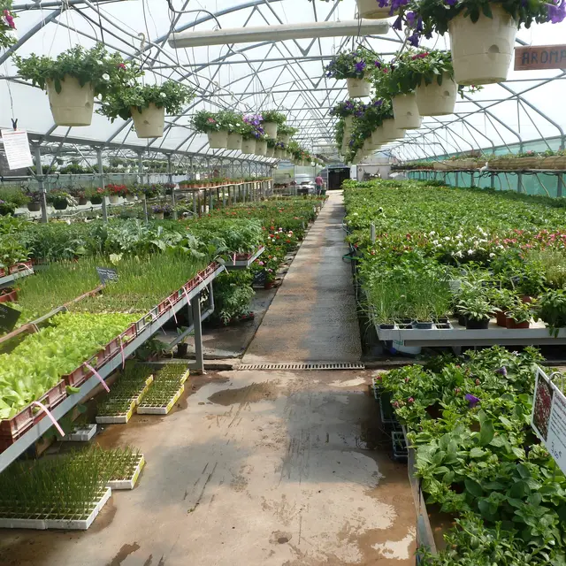 La serre des Quintrands