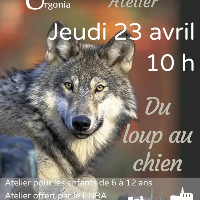 23 avril affiche_Atelier loup et chien.jpg