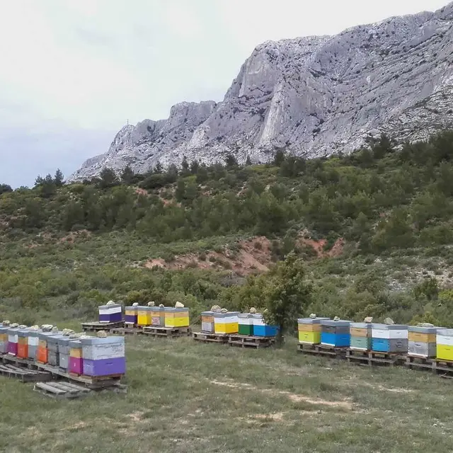 Miellerie Sainte-Victoire