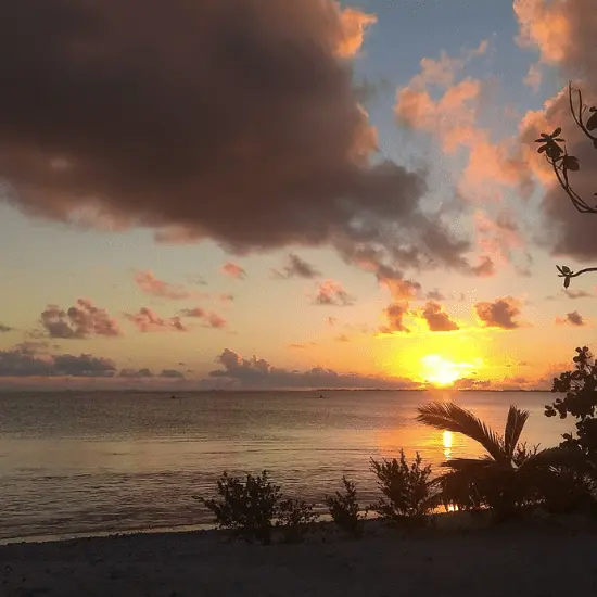 Camping Tekopa Village - Tahiti Tourisme