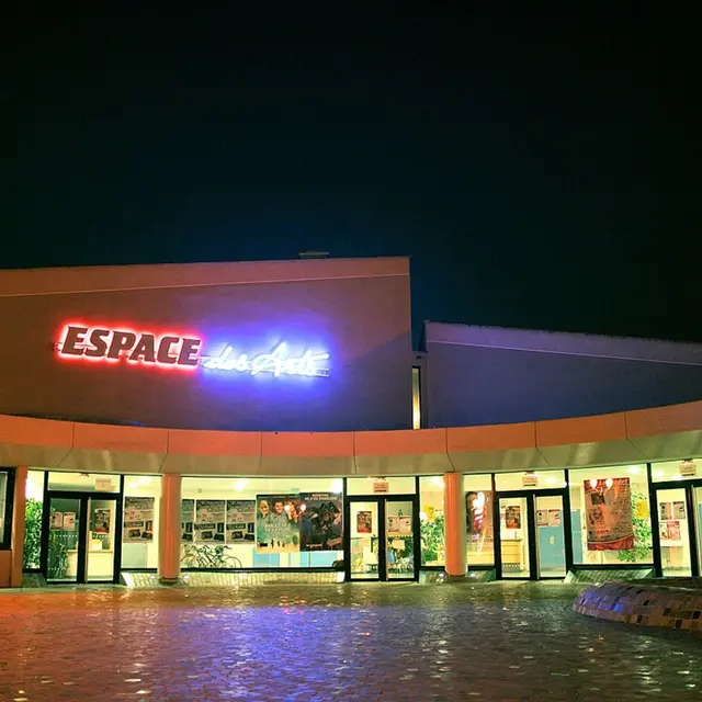Cinéma espace des arts