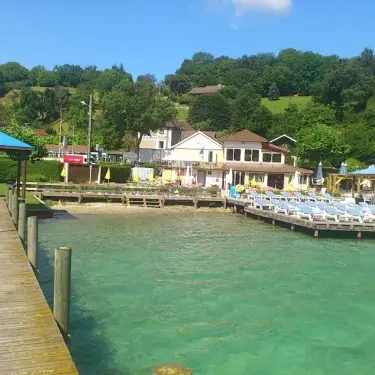 Les Dauphins