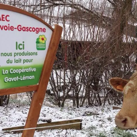 Gaec Savoie Gascogne