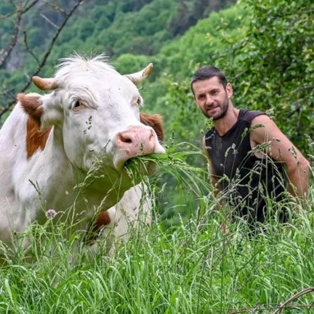 La ferme pelissero