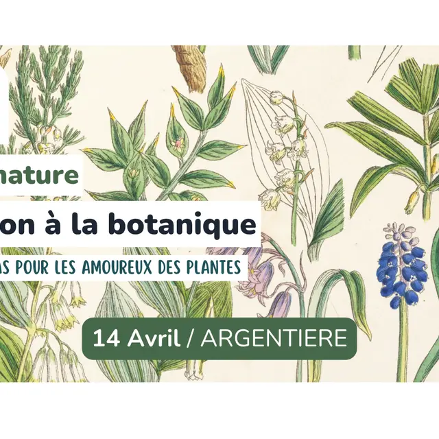 Sortie nature - Initiation à la botanique_Argentière