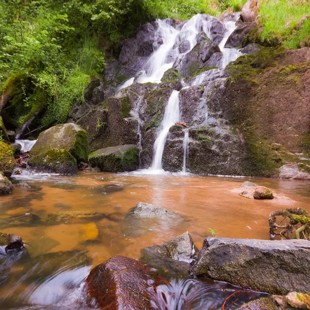 Vallée de Sans-Souci