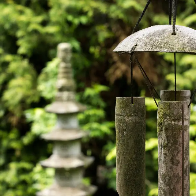 Les bases du Feng Shui - Atelier_Montbrison