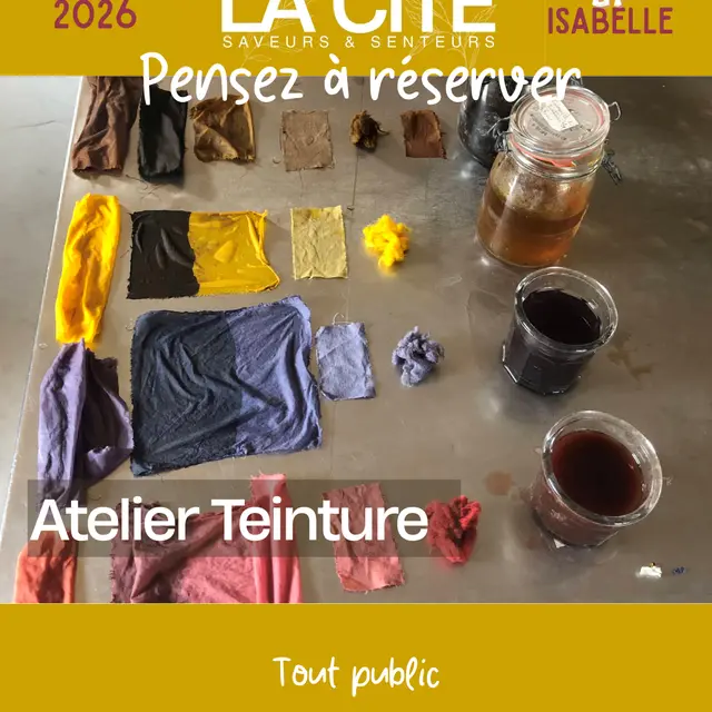 Atelier teintures végétales_Forcalquier