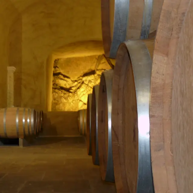 Visite de cave interactive au Château Pas du Cerf et dégustation du nouveau millésime_La Londe-les-Maures