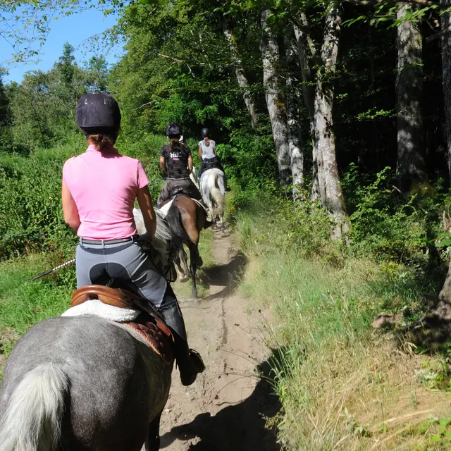 Randonnée équestre