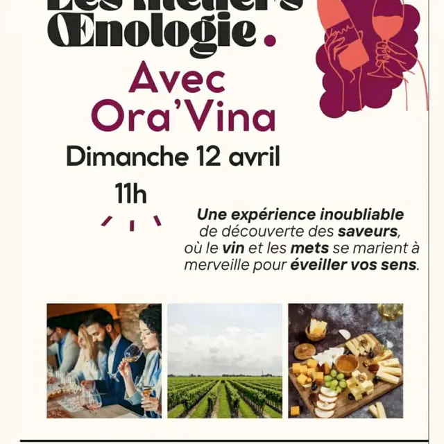 Atelier d'œnologie_Le Plan de la Tour