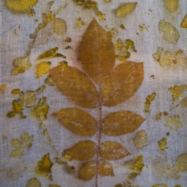 Stage de teinture végétale_Essertines-en-Donzy