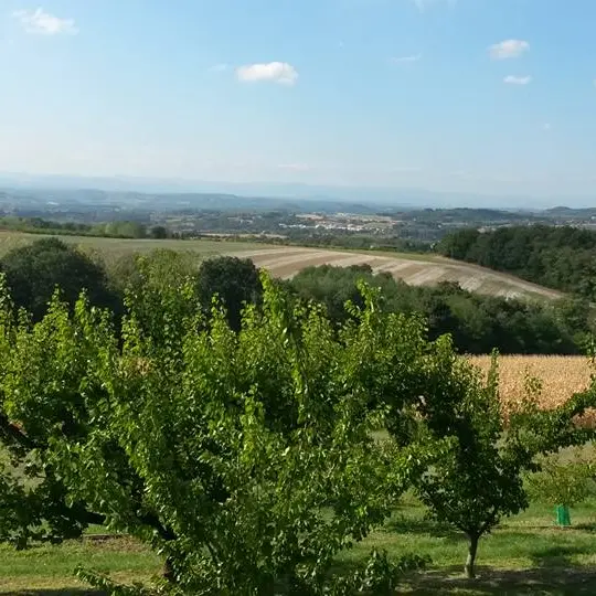 Bon plan VTT  Autour de l'Herbasse_Saint Donat