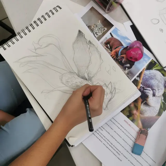 Ecole d'arts plastiques