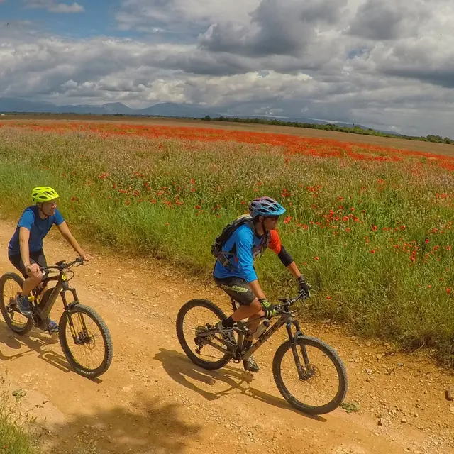 Circuit Provence Verdon VTT 8