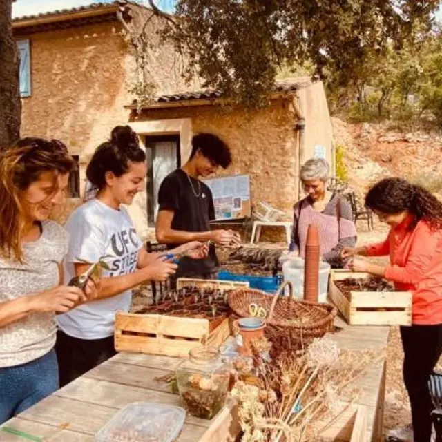 Apprentis maraîchers : semez, cultivez et récoltez_Tavernes