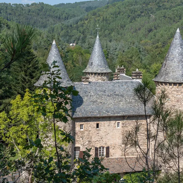 Château de Montjoie-1