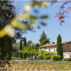 Vignoble - Cave - Vins