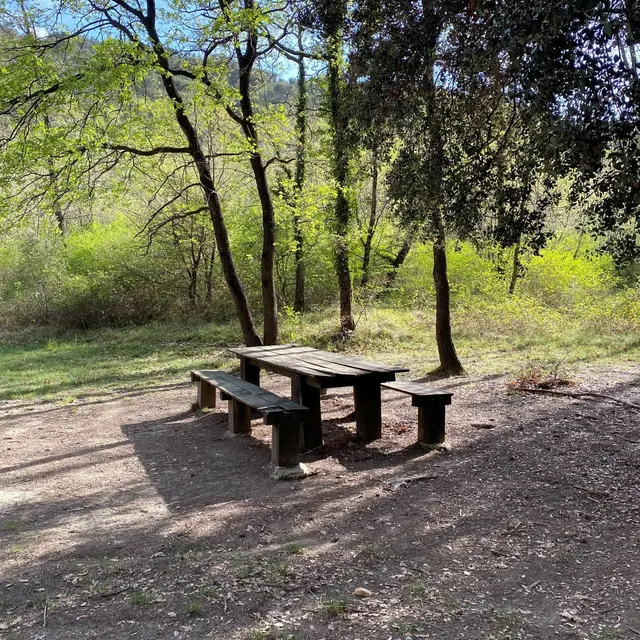 Aire de pique-nique forêt Buisson_Buisson