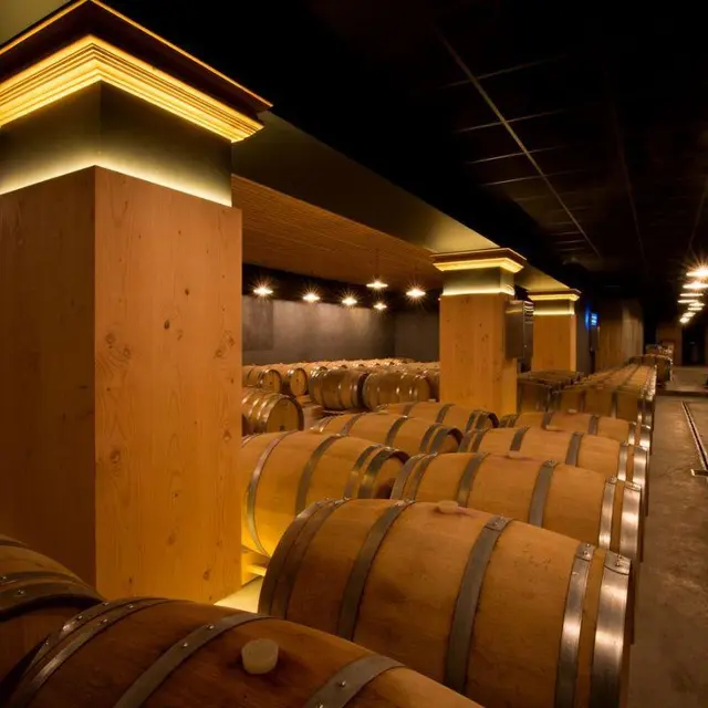 Visite étonnante de l'une des caves les plus modernes de Provence_La Celle