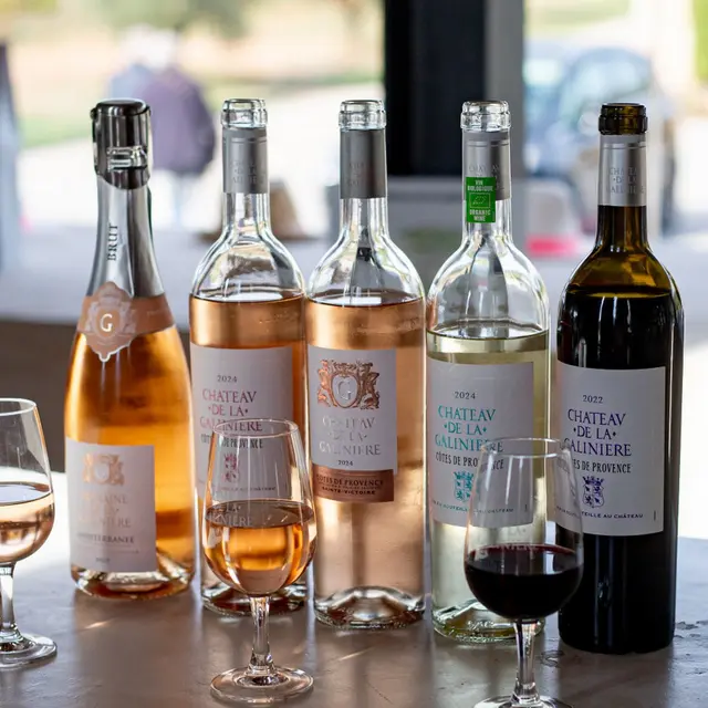 Château de la Galinière - Immersion vignes et vins_Châteauneuf-le-Rouge