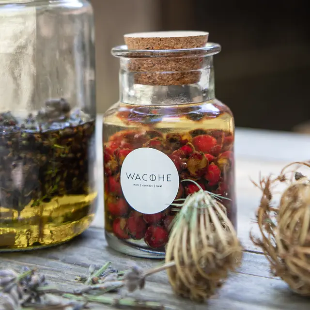 Festival Ventoux Saveurs - Atelier  Plantes et Remèdes - Wacohe et Le Moulin César_Vaison-la-Romaine