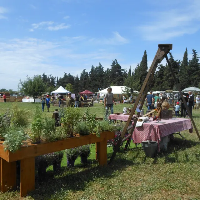 Nature en fête à La Londe les Maures