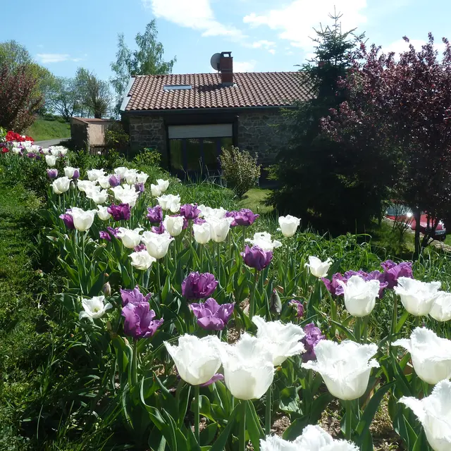 Gîte de Montmirond