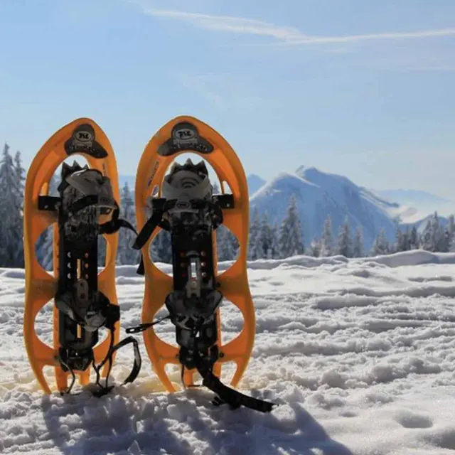Raquettes à neige