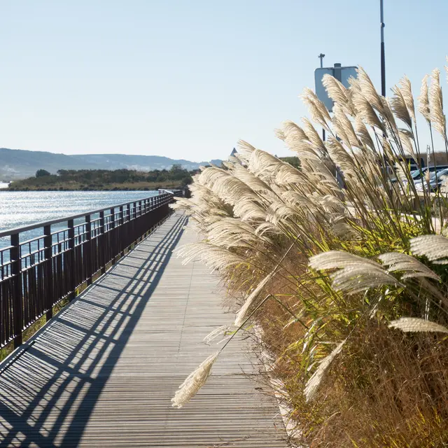 Marignane au fil de l'eau