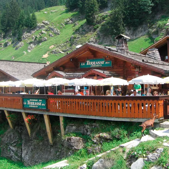 La Terrasse des Lindarets