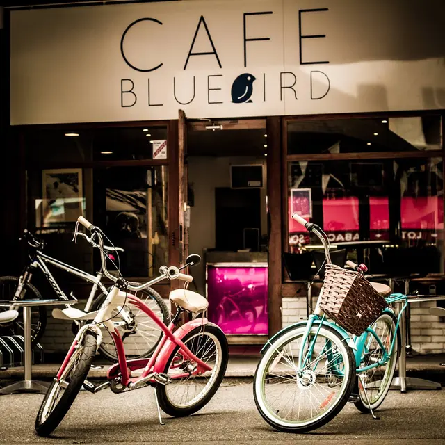 café blue bird