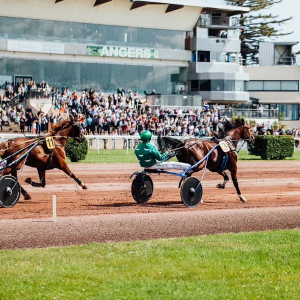 Hippodrome d'Angers