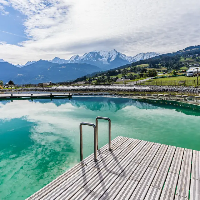 Plan d'eau biotope