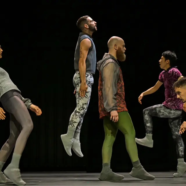 Danse : STEPS : Sphynx_Annemasse