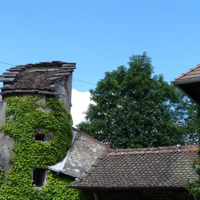 Quartier patrimonial -Virieu-le-Grand